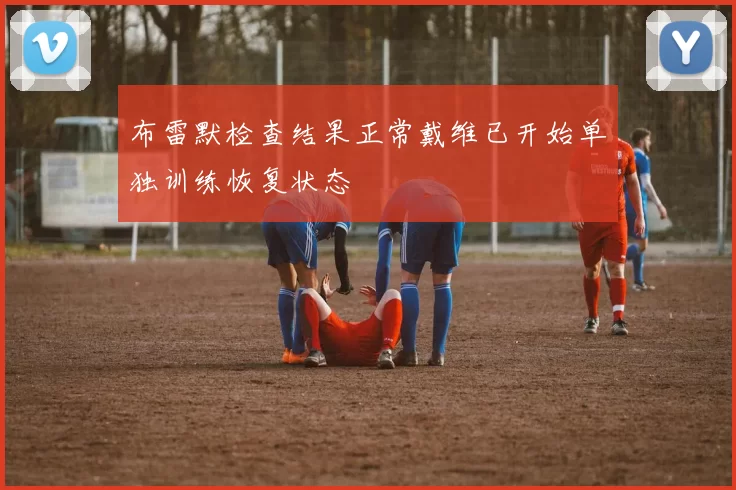 布雷默检查结果正常戴维已开始单独训练恢复状态