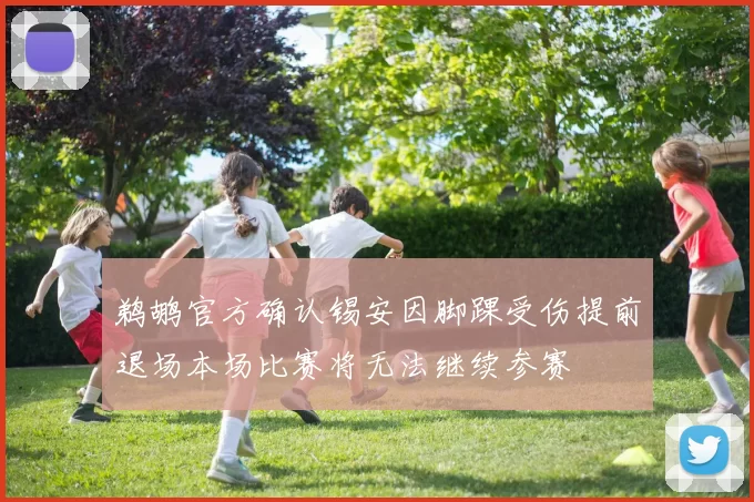 鹈鹕官方确认锡安因脚踝受伤提前退场本场比赛将无法继续参赛